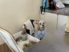 -小意思咖啡店(草桥店)