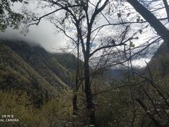 -叠溪松坪沟景区