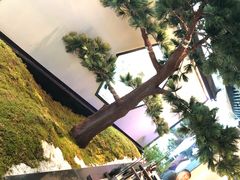 -绿茶餐厅(成都大悦城店)