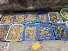 -郑庄脂渣海鲜楼(九水路店)