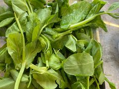 -抚仙湖野生菌石锅鱼(腾冲总店)