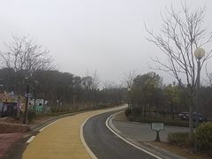 -瑶湖郊野森林公园