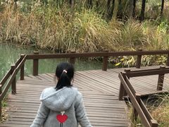 -梁鸿国家湿地公园