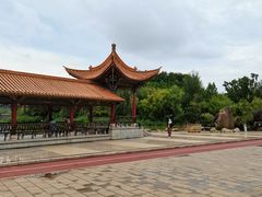 -洛龙公园
