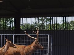 -苏州太湖西山岛开心农场
