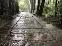 -峨眉山报国寺