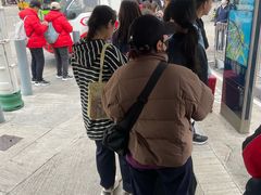 -富豪雪糕车流动点(尖沙咀店)