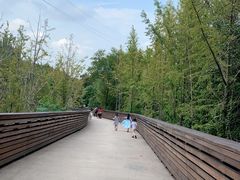 -昆山城市生态森林公园