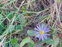 -渭河城市绿地运动公园