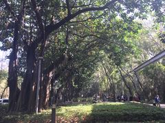 -采耳匠采耳文化体验馆(东门店)