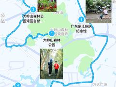 -东莞市大岭山森林公园