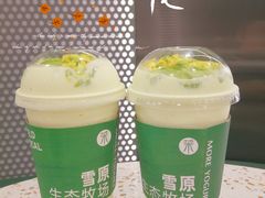 -茉酸奶(春熙路店)
