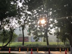 -赵伍面庄(松石大道店)