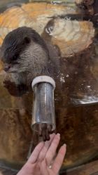 -Zoolung Zoolung动物主题公园(海信广场店)