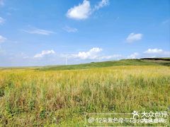 -草原天路(张北县)