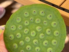 -不觉晓CAMPING(上海迪士尼营地店)