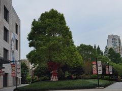 -浦江城市生活广场(江月路店)