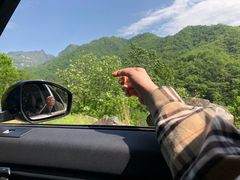 -内乡宝天曼生态旅游区