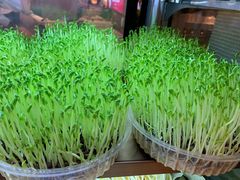 -串一火锅(赛格国际购物中心店)