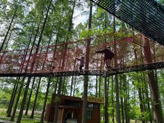 -黄海国家森林公园