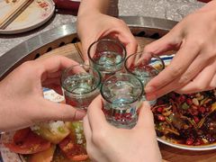 -二胖家铁锅炖大鹅(双井店)
