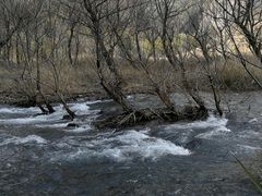-楠溪江风景名胜区