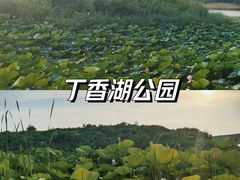 -丁香湖公园