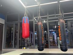 -臻元搏击格斗泰拳拳馆(港隆店)