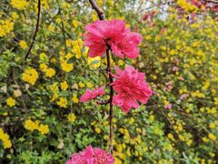 -贵阳市花溪国家城市湿地公园