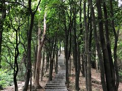 -火炉山森林公园