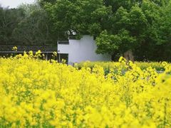 -上海佘山国家森林公园天马山园