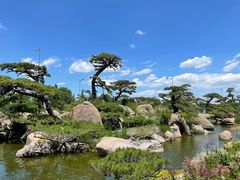 -罗红摄影艺术馆