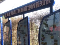 -北海金海湾红树林生态旅游区