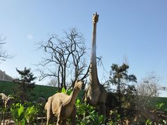 -西安秦岭野生动物园