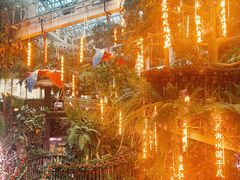 -正佳雨林生态植物园