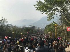 -三峡梯城