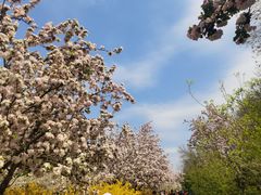 -元大都城垣遗址公园