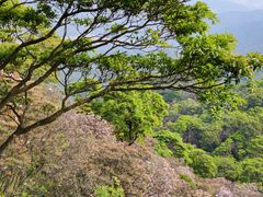 -梧桐山风景名胜区