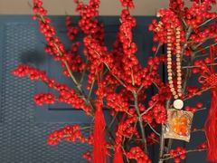 -BEAST野兽派(上海浦东嘉里城店)