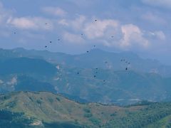 -灵山