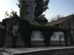 -古北烤梨