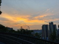 -福道
