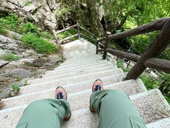 -王顺山国家森林公园
