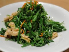 -清雅臻品·竹林院落·新派青岛菜(崂山店)
