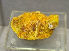 -湖南省地质博物馆