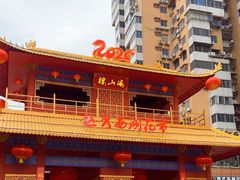 -越秀西湖花市(广州城市广场花卉店)