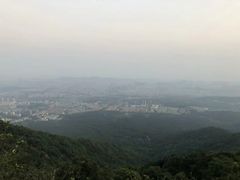 -紫金山山顶公园