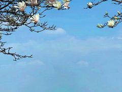 -阳澄湖半岛旅游度假区
