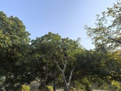 -堤角公园