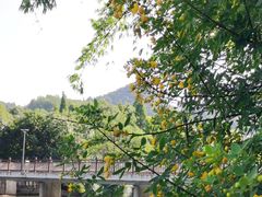 -贵阳市花溪国家城市湿地公园